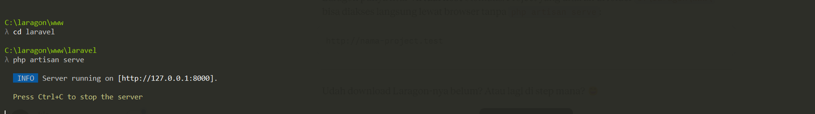 php artisan serve