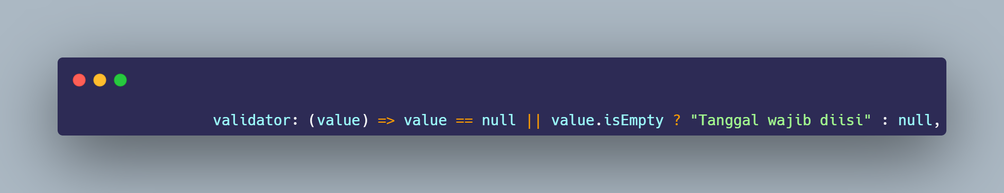 SS VS Code validator pada TextFormField tanggal
